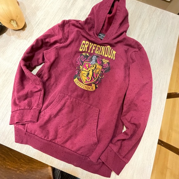 Harry Potter uniseks hoodie met kettingstof en pofprint, sweatshirt met geborduurde Zwerkbalvlag op de mouwen, Slytherin, M Harry Potter uniseks hoodie met kettingstof en pofprint, sweatshirt met geborduurde Zwerkbalvlag op de mouwen, Slytherin, M